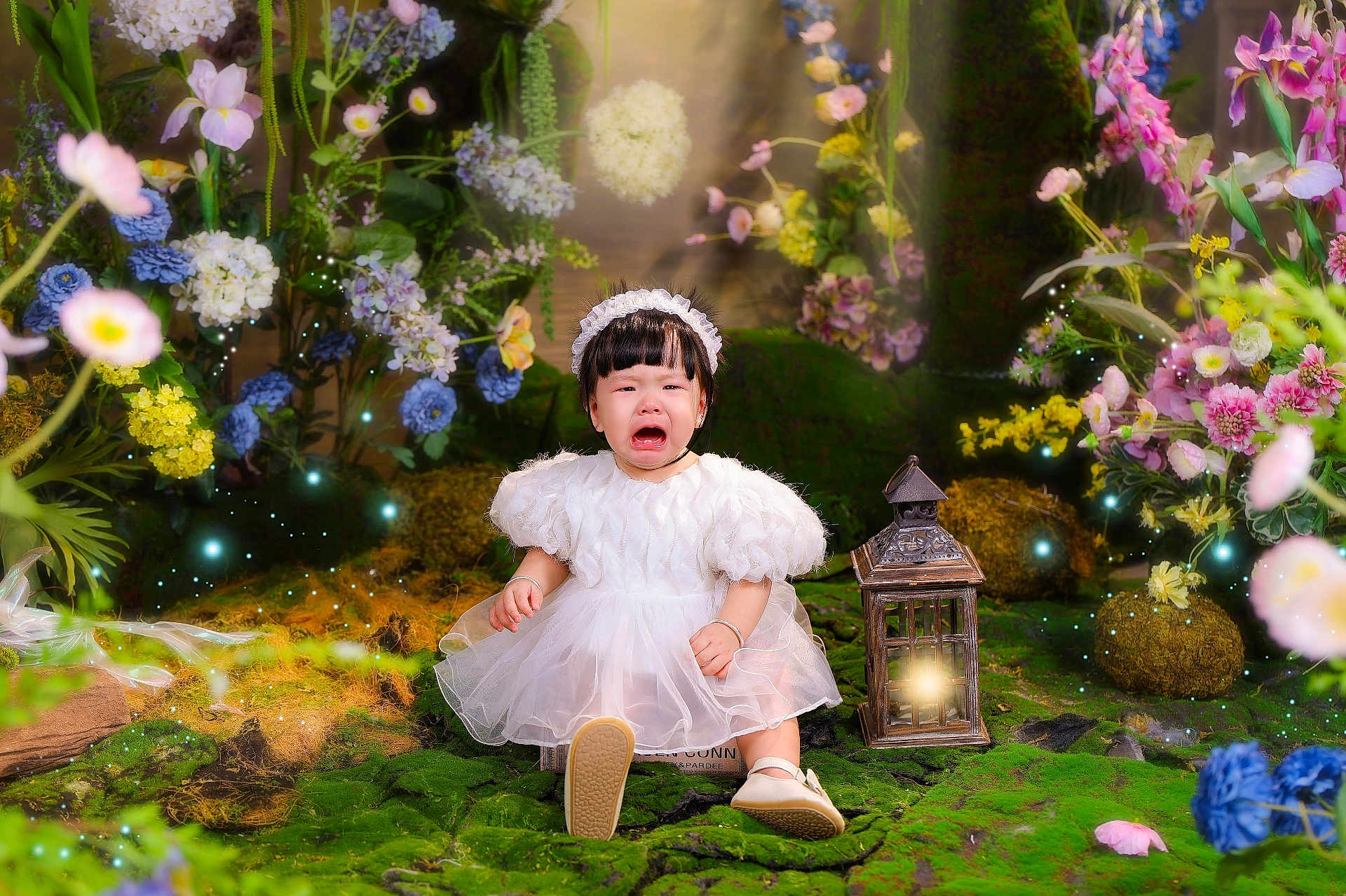 Ngoc is registered to the contest to win money with this photo: toddler, child, crying, white_dress, headband, lantern, flowers, greenery, moss, garden, fairy_lights, nature, portrait, indoor, decor, cute, sad, puffed_sleeves, shoes, sitting