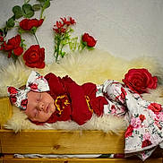 Aria joined the competition — help win amazing prizes! baby, sleeping, newborn, red_clothing, headband, floral_pattern, wooden_crate, fluffy_blanket, artificial_flowers, red_roses, green_leaves, cozy, portrait, indoor, soft_lighting, cute, infant, peaceful, decor, resting
