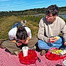 cat, people, picnic, outdoors, lake, water, grass, hillside, harness, leash, checkered_blanket, sandwich, food, drinks, plastic_bags, sunglasses, glasses, sitting, sunny, landscape