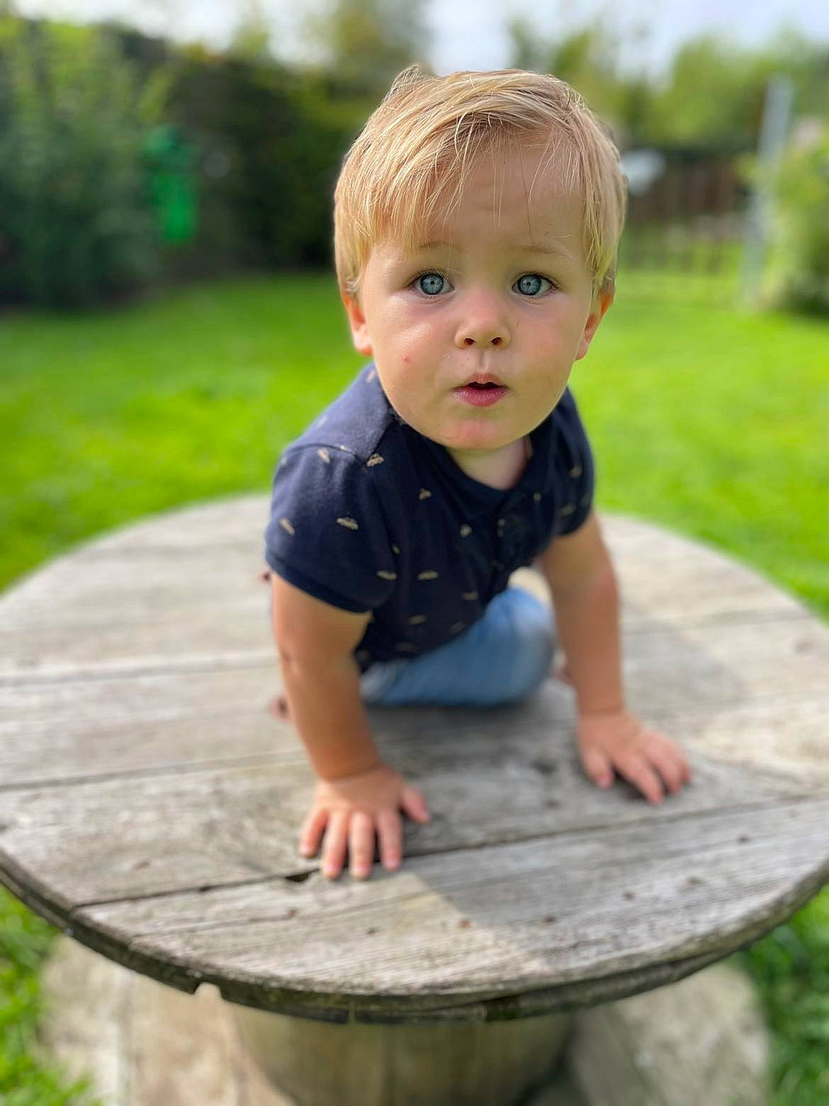 Milliano a rejoint le concours — aidez-le/la à gagner de superbes lots ! baby, baby_toddler_clothing, chair, chin, dress, grass, hair, head, leaf, leisure, people_in_nature, person, photograph, plant, skin, summer, surprise, table, toddler, tree