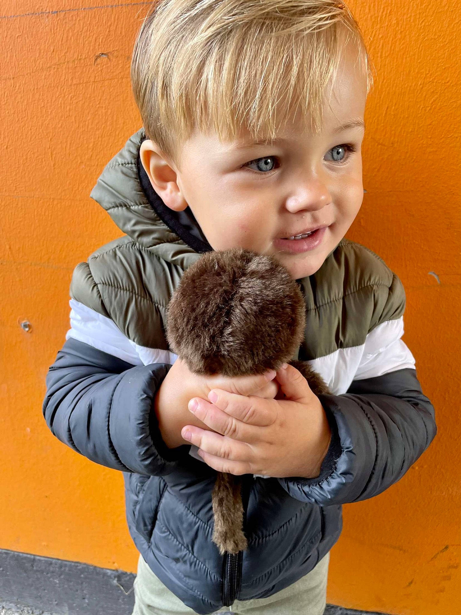 Milliano a rejoint le concours — aidez-le/la à gagner de superbes lots ! baby_toddler_clothing, blond, brown_hair, cheek, child, clothing, fur, gesture, hair, hairstyle, human_body, neck, nose, organ, person, skin, sleeve, smile, standing, t_shirt