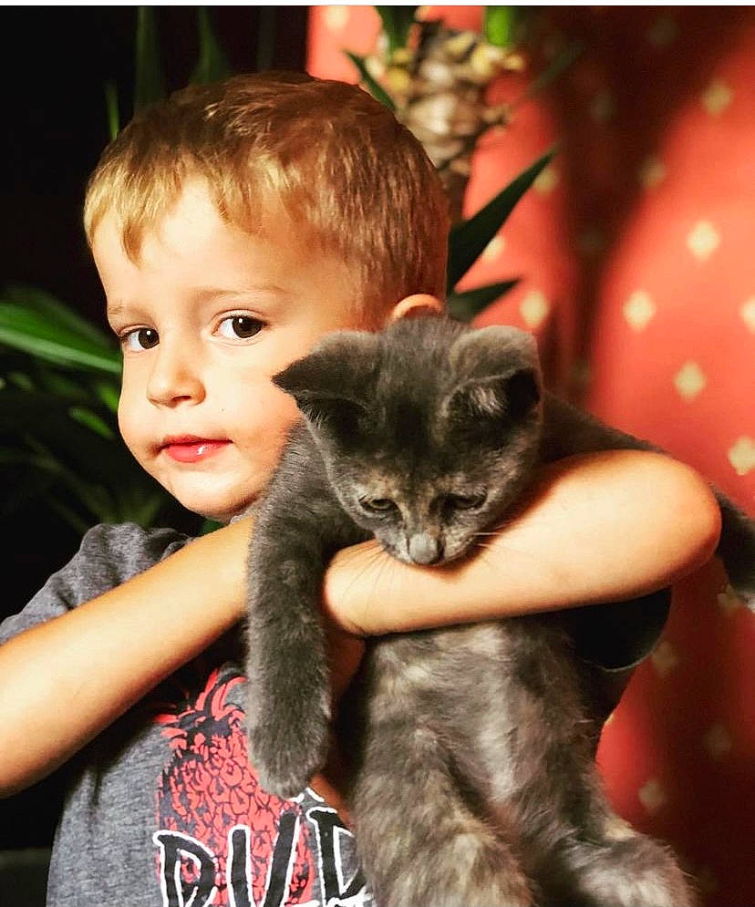 Mayron a rejoint le concours — aidez-le/la à gagner de superbes lots ! carnivore, cat, child, comfort, domestic_short_haired_cat, ear, fawn, felidae, gesture, happy, iris, mammal, person, sitting, skin, small_to_medium_sized_cats, smile, snapshot, tail, toddler