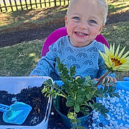 Liam joined the competition — help win amazing prizes! child, toddler, smiling, portrait, outdoor, garden, gardening, sunflower, plant, flower_pot, soil, shovel, potting_table, fence, grass, tree, blue_eyes, blond_hair, striped_shirt, playful