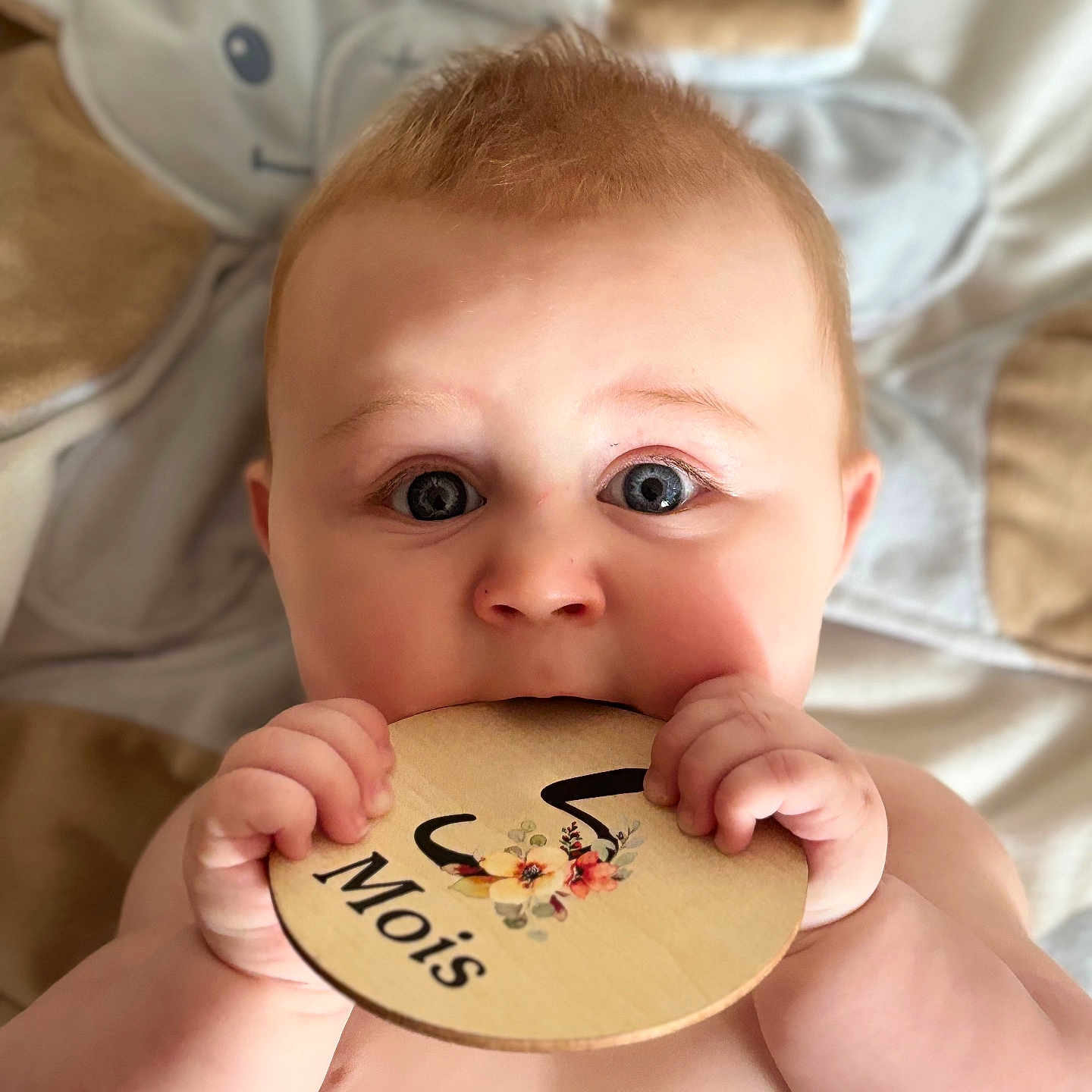 Ezio a rejoint le concours — aidez-le/la à gagner de superbes lots ! animal_pattern, baby, blanket, blue_eyes, chewing, child, chubby_cheeks, closeup, comfort, cute, expression, face, hands, indoors, infant, milestone, portrait, skin, soft_lighting, wooden_plaque