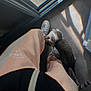 cat, tabby_cat, person, legs, pants, sneakers, floor, sunlight, window, shadow, indoor, curious, pet, animal, looking_up, casual_clothing, gray_floor, striped_tail, feline, home