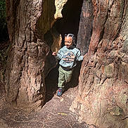 Harlem joined the competition — help win amazing prizes! child, tree, forest, sunlight, nature, hollow_tree, outdoor, smiling, happy, sweatshirt, jurassic_world, camo, pants, shoes, braids, young_child, playful, daylight, bark, ground
