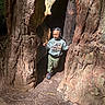 child, tree, forest, sunlight, nature, hollow_tree, outdoor, smiling, happy, sweatshirt, jurassic_world, camo, pants, shoes, braids, young_child, playful, daylight, bark, ground