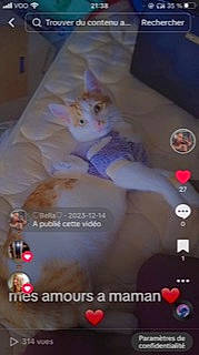 Rookye a rejoint le concours — aidez-le/la à gagner de superbes lots ! advertising, automotive_lighting, bumper, entertainment, finger, flooring, font, gadget, logo, magenta, nail, pattern, photo_caption, room, thigh