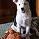 Shiloh