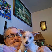 Choli joined the competition — help win amazing prizes! animal, collar, dog, elderly_person, face, furniture, glasses, hands, head, holding, indoor, lamp, map, painting, pet, plaque, portrait, relaxation, tag, wall