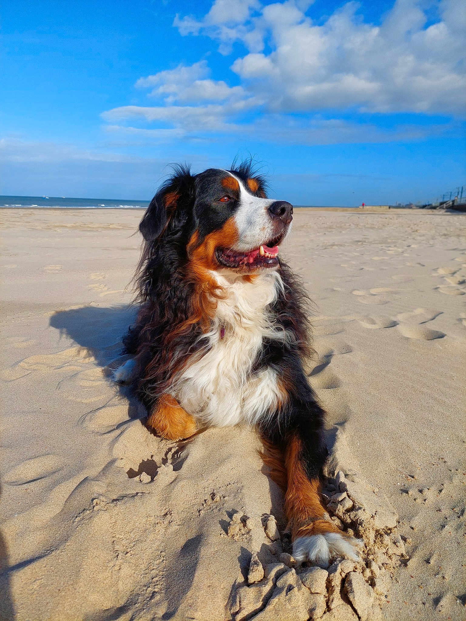 Lola