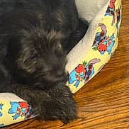 Luna joined the competition — help win amazing prizes! cat, black_cat, sleeping, sleepy, pet, furry, fluffy, animal, kitten, resting, curled_up, pet_bed, cushion, colorful, cartoon_pattern, indoors, wooden_floor, cozy, nap, closeup