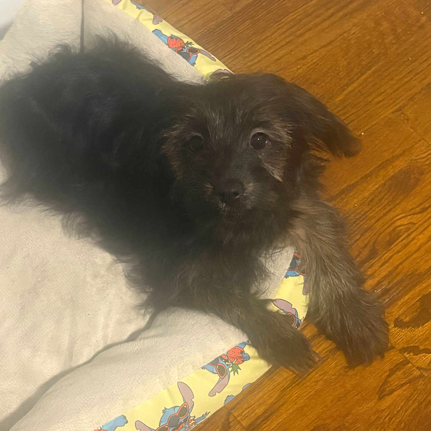 Luna