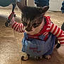 Tivali is registered to the contest to win money with this photo: cat, costume, indoor, floor, tile_floor, striped_sleeves, toy_chainsaw, animal, pet, clothing, blue_apron, white, brown, black, sitting, funny, cute, domestic, animal_costume, playful