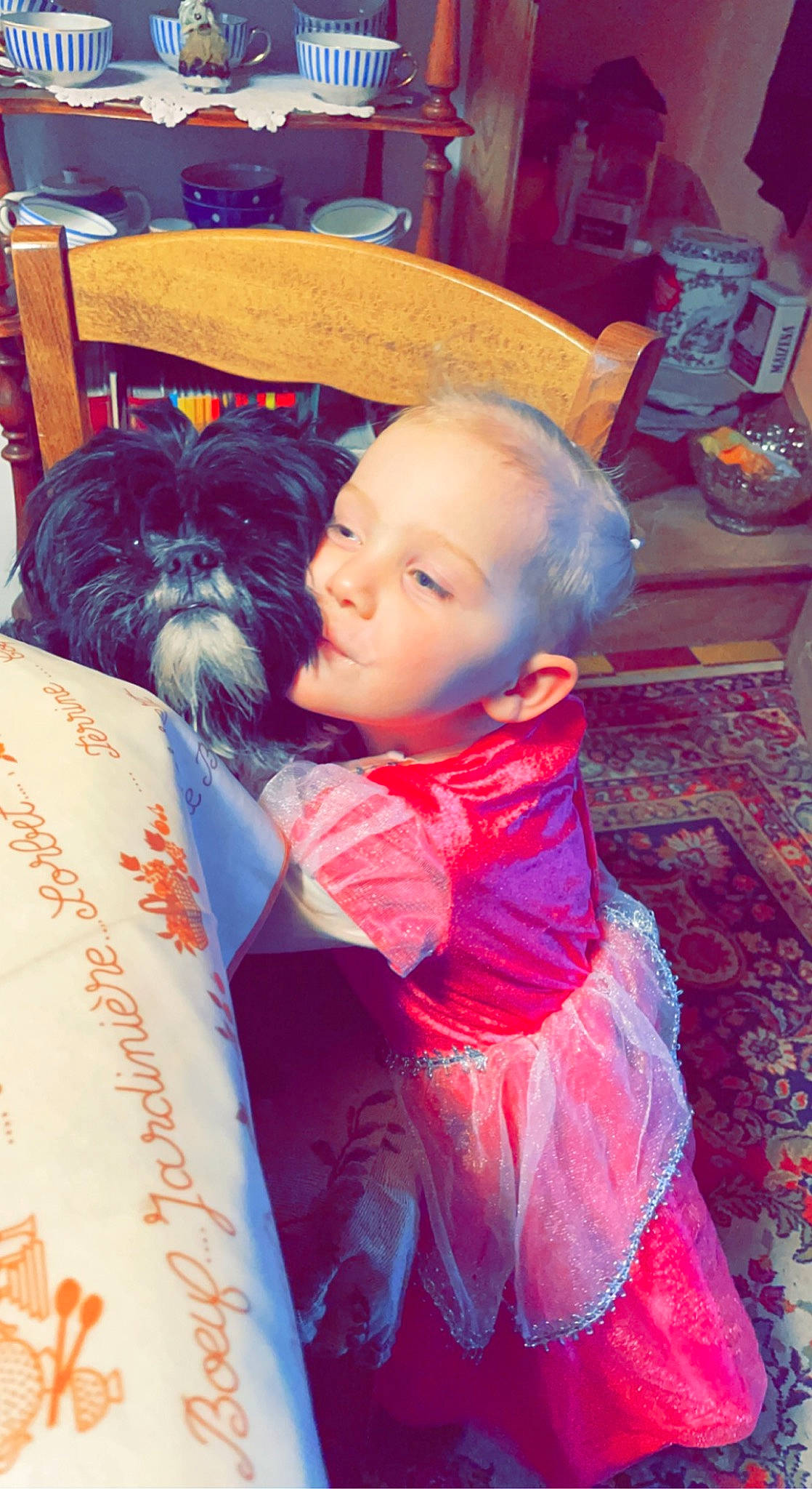 Luana a rejoint le concours — aidez-le/la à gagner de superbes lots ! baby, chair, child, christmas, companion_dog, dog_breed, event, felidae, fun, fur, happy, holiday, lap, leisure, magenta, person, room, sitting, textile, toddler