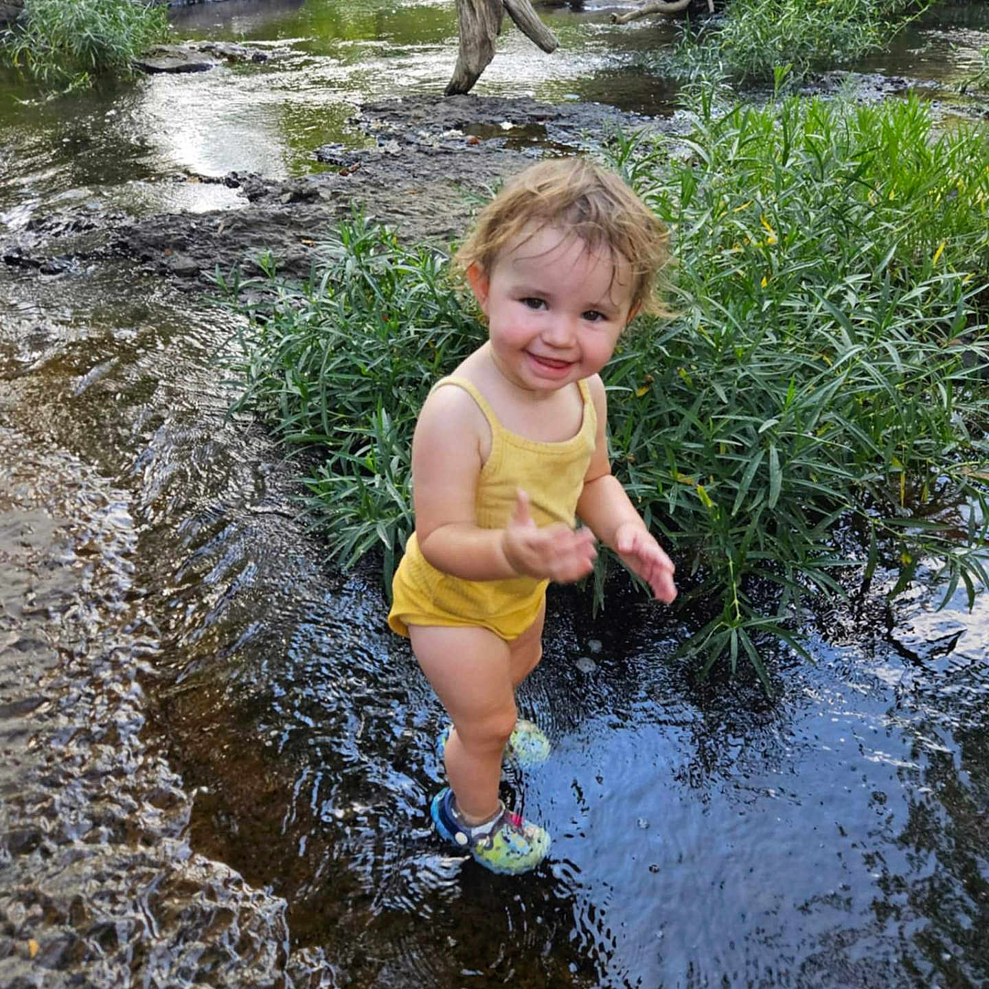 Piper joined the competition — help win amazing prizes! adventure, child, creek, exploring, greenery, happy, logs, nature, outdoor, plants, playful, river, shoes, smiling, splashing, summer, toddler, water, yellow_clothing, young_child
