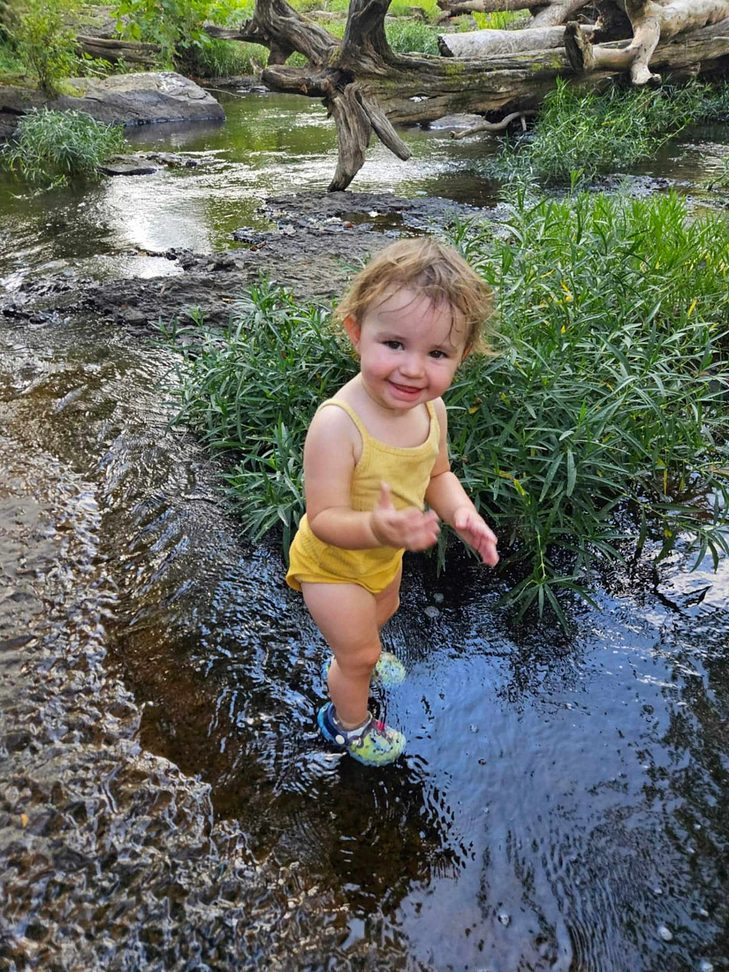 Piper joined the competition — help win amazing prizes! toddler, child, water, creek, nature, greenery, yellow_clothing, happy, smiling, outdoor, shoes, splashing, plants, logs, summer, adventure, exploring, young_child, river, playful