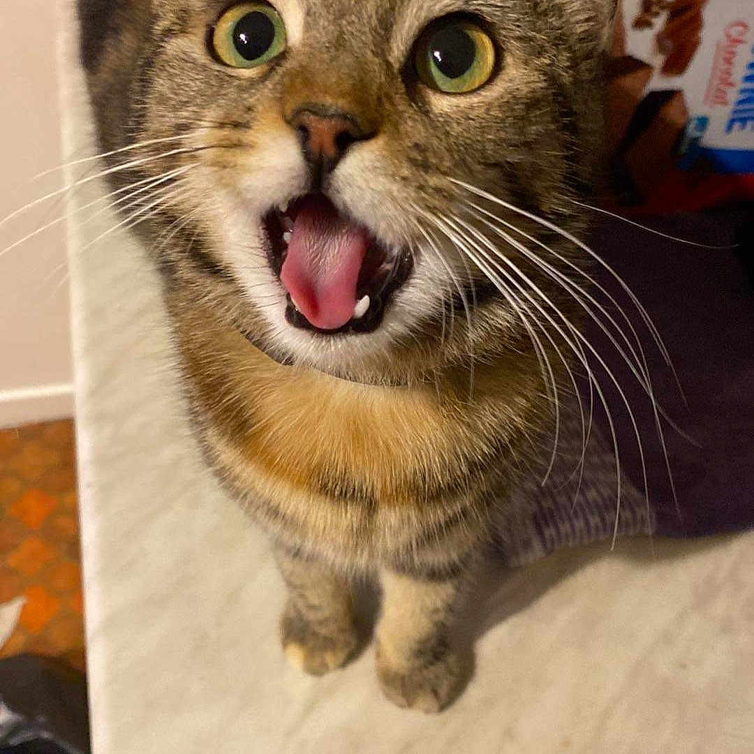 Nina