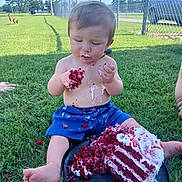 Walter is registered to the contest to win money with this photo: toddler, child, cake, red_velvet_cake, outdoor, grass, fence, dog, messy, food, eating, barefoot, blue_shorts, summer, sunny, plate, nature, cute, face, fun