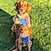 Ruby And Charlie