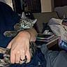 Cypher Alexander joined the competition — help win amazing prizes! cat, tabby_cat, person, hand, ring, arm, blanket, couch, phone, table, indoor, relaxed, pet, comfort, furniture, casual, clothing, resting, home, cozy