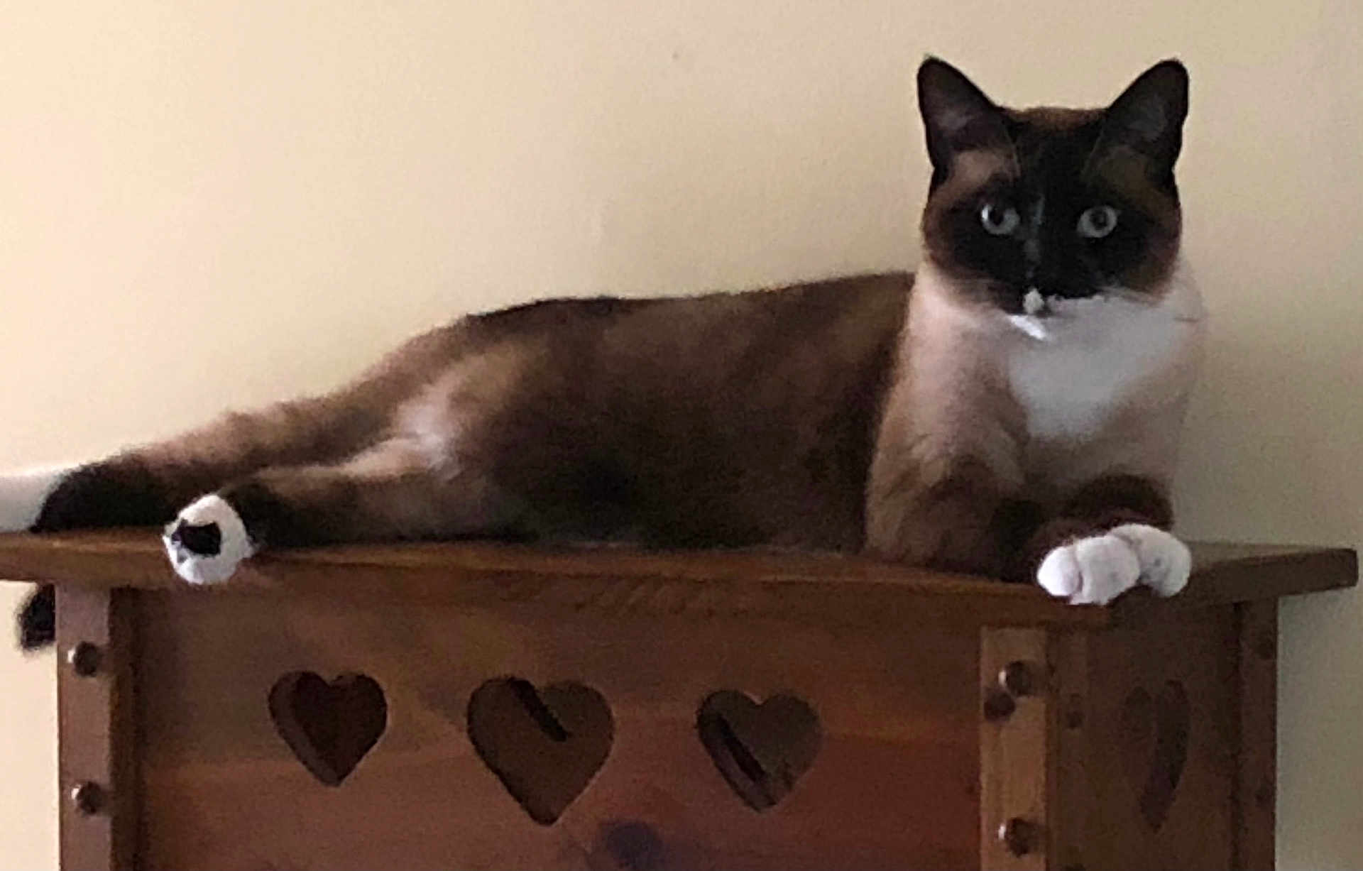 Luka