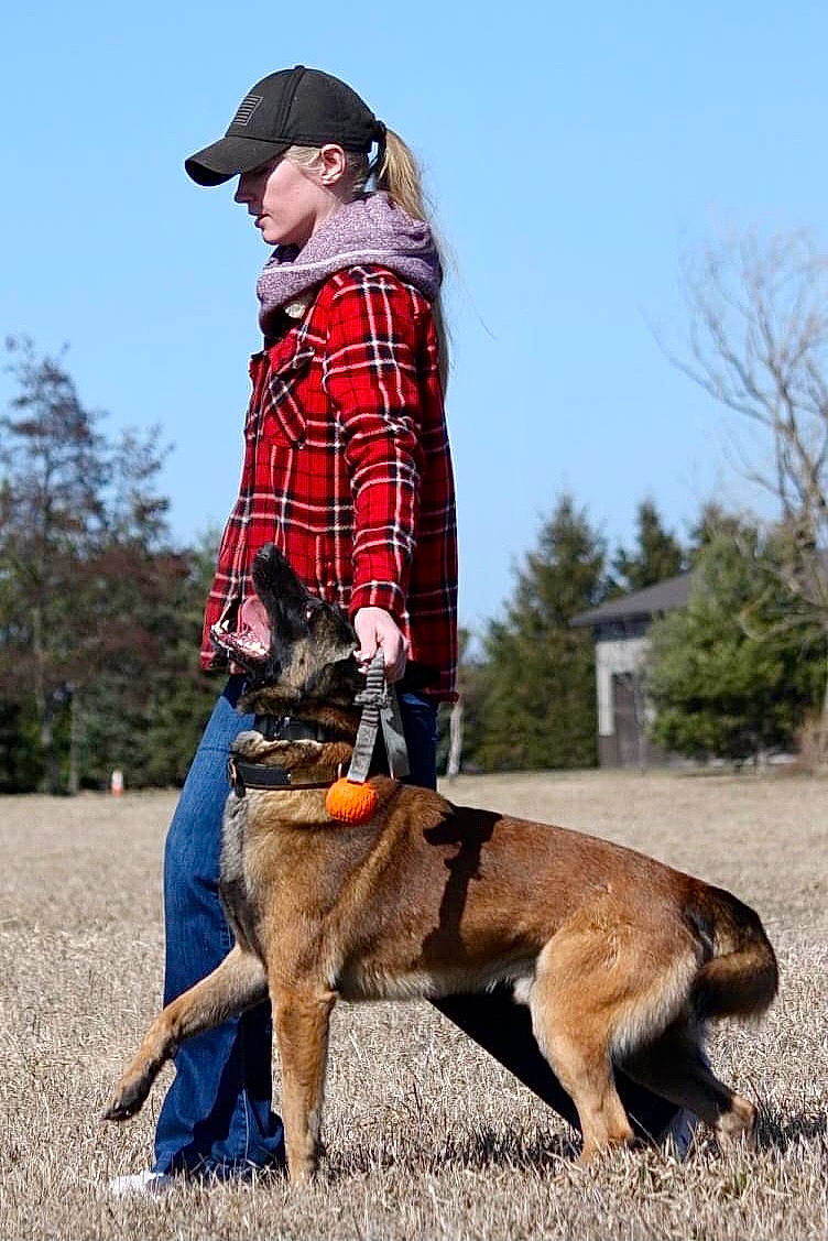King is registered to the contest to win money with this photo: animal_sports, canidae, carnivore, collar, companion_dog, dog, dog_breed, dog_sports, fashion_accessory, fawn, german_shepherd_dog, herding_dog, leash, pet_supply, plaid, sky, sporting_group, street_fashion, tartan, tree