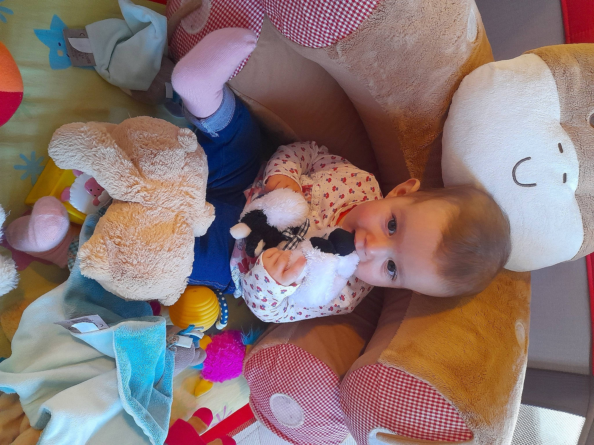 Elsa participe au concours pour gagner de l'argent avec cette photo : baby, baby_products, baby_toddler_clothing, baby_toys, cheek, child, comfort, eye, head, mammal, person, pink, plush, product, room, skin, stuffed_toy, textile, toddler, toy