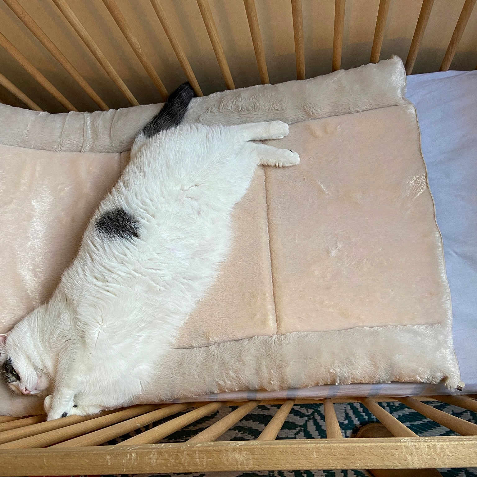 Vador
