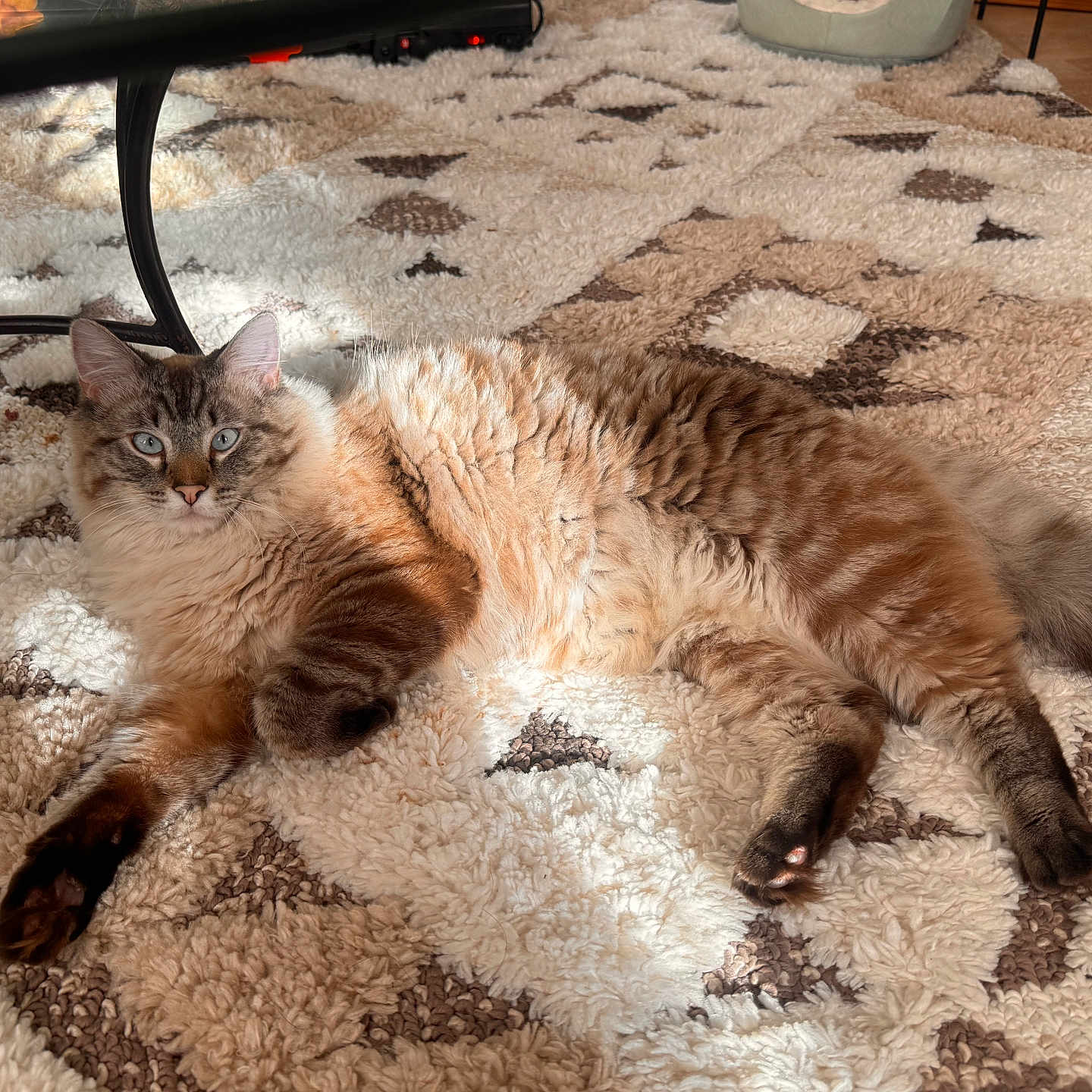 Milo