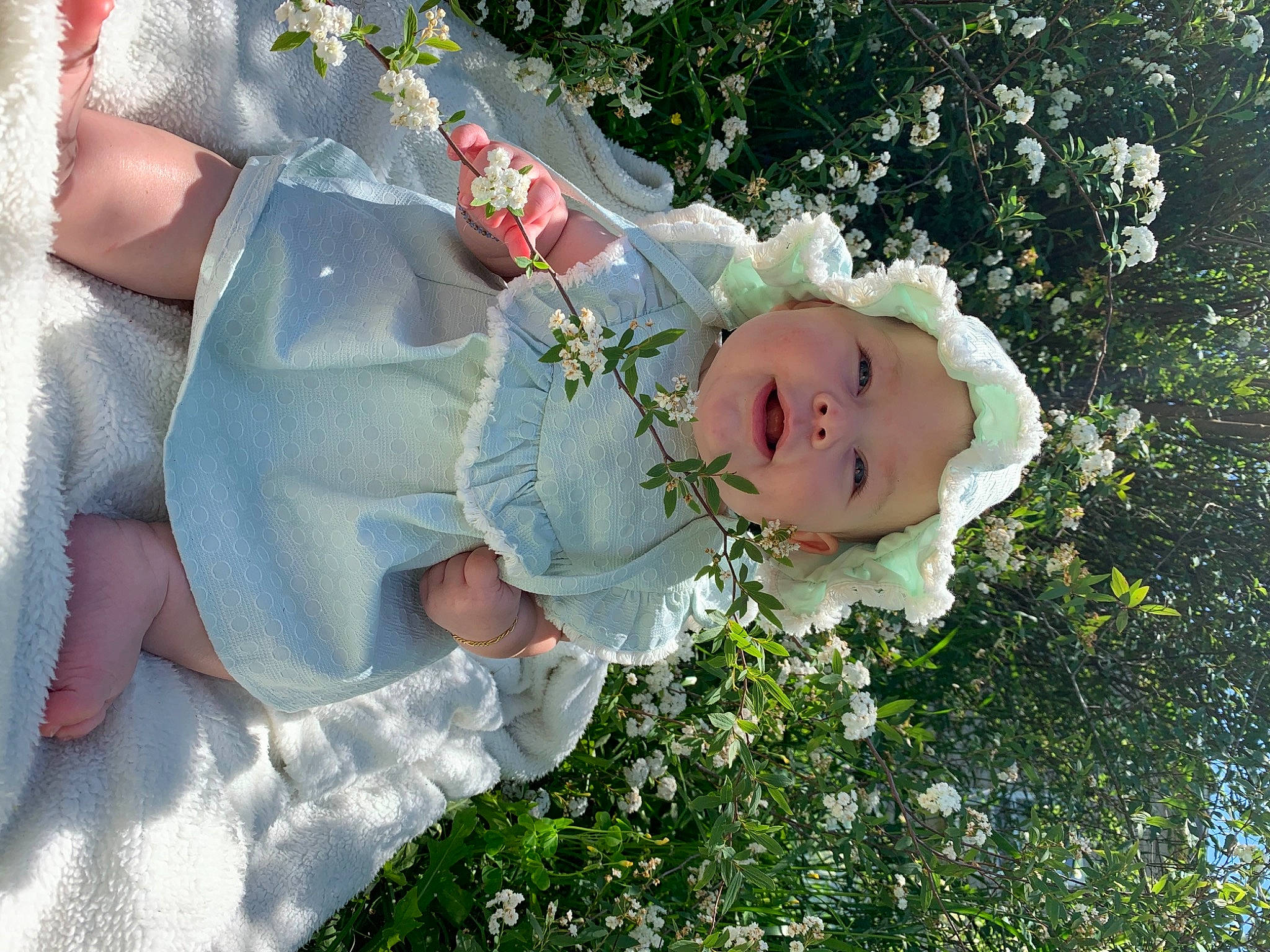 Phoebe joined the competition — help win amazing prizes! baby, baby_toddler_clothing, child, cut_flowers, dress, flower, garden_roses, grass, happy, headwear, human_body, leaf, people_in_nature, person, petal, pink, plant, rose, rose_family, rose_order
