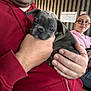 Alvyn a rejoint le concours — aidez-le/la à gagner de superbes lots ! accessories, adult, animal, baby, bodypart, bulldog, canine, dog, face, female, finger, frenchbulldog, glasses, hand, head, male, man, person, pet, woman