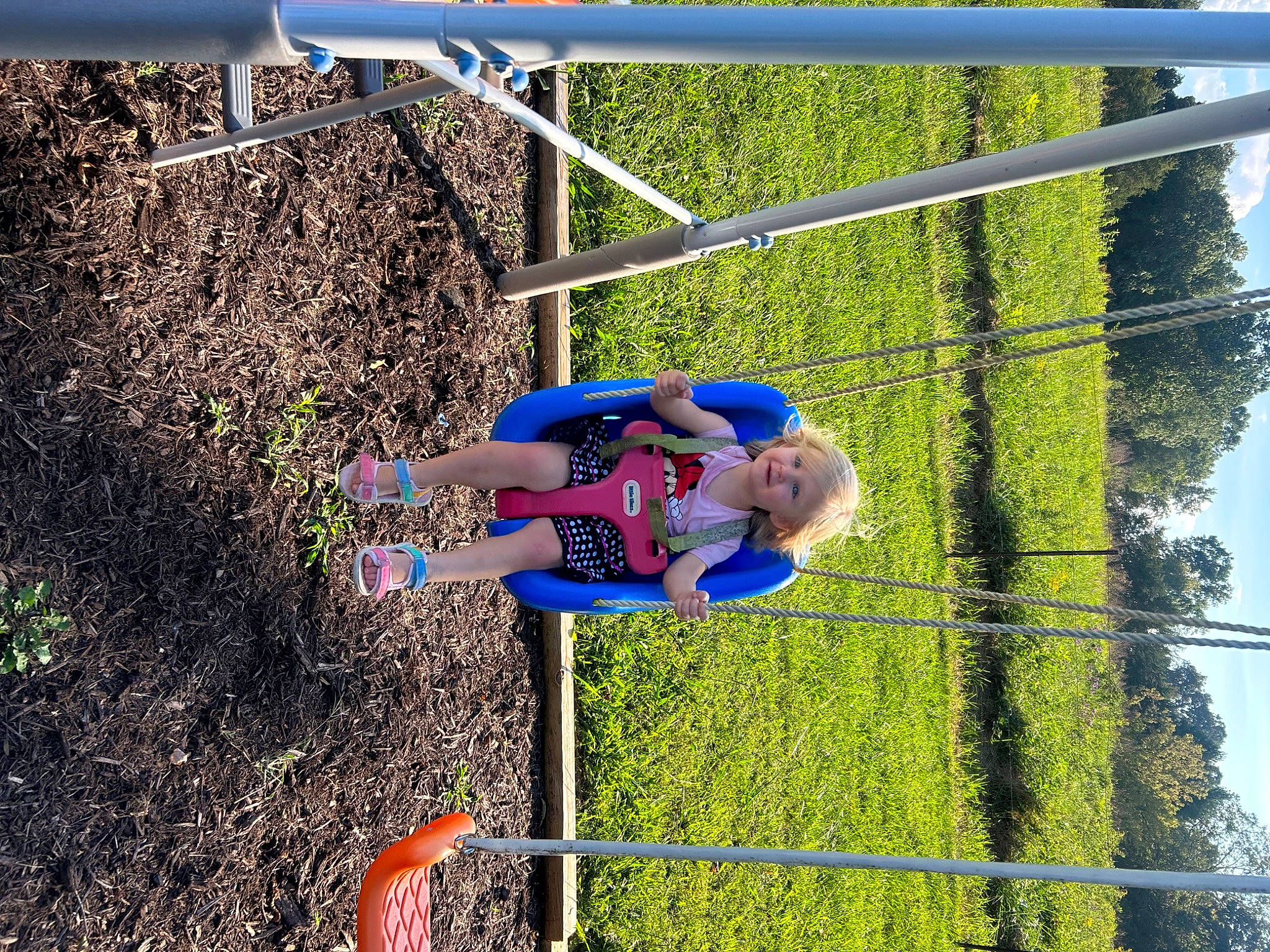 Jamie is registered to the contest to win money with this photo: child, city, electric_blue, fun, grass, leisure, outdoor_play_equipment, people_in_nature, person, plant, play, playground, pole, recreation, shorts, sky, soil, t_shirt, toddler, tree