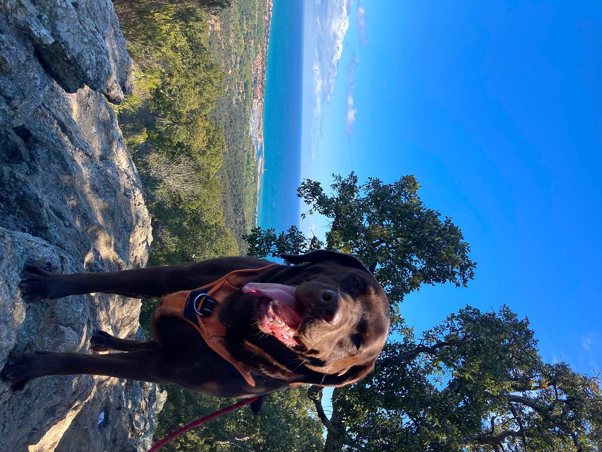 Ryo a rejoint le concours — aidez-le/la à gagner de superbes lots ! adventure, cloud, electric_blue, extreme_sport, fun, happy, landscape, leisure, mountain, people_in_nature, plant, recreation, rock, rock_climbing_equipment, sky, sport_climbing, sunlight, tree, wilderness, wood