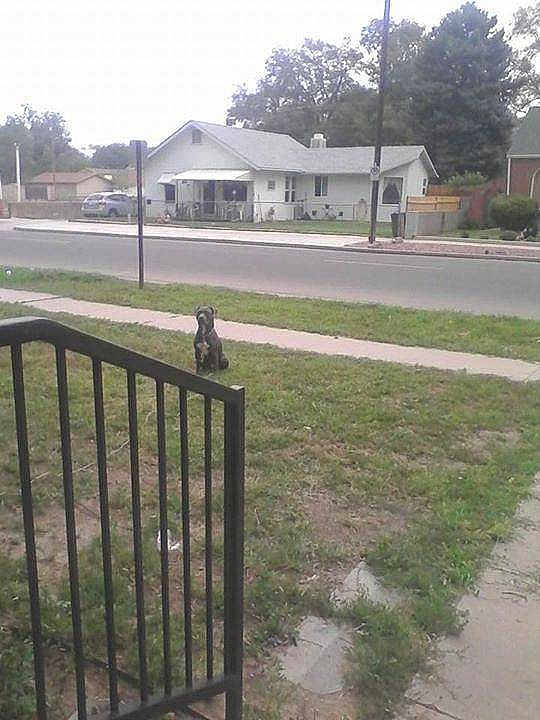 Zeus
