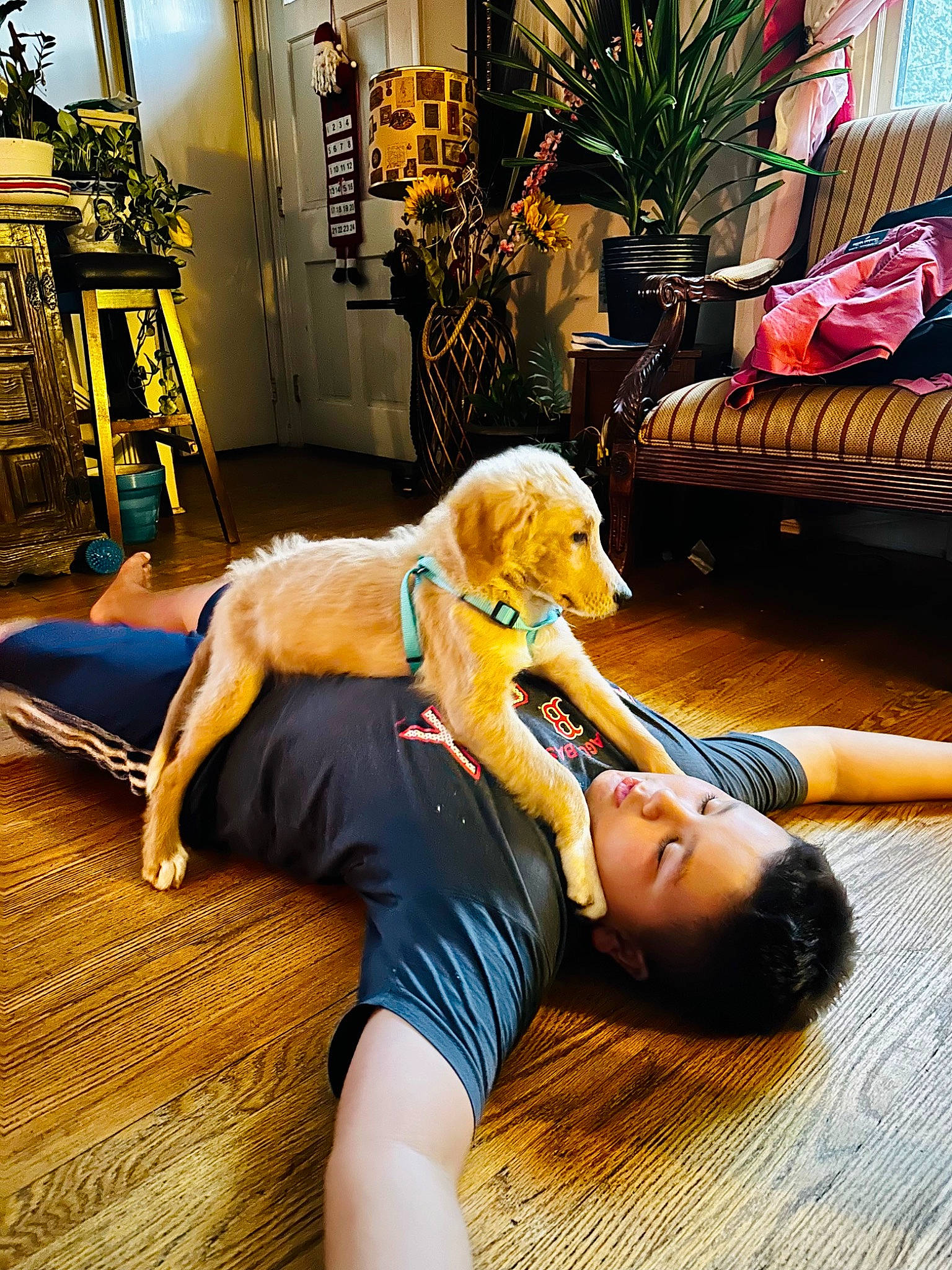 Boots joined the competition — help win amazing prizes! barefoot, comfort, companion_dog, couch, floor, flooring, flowerpot, foot, hardwood, houseplant, knee, leg, leisure, picture_frame, plant, sportswear, textile, thigh, wood, yellow