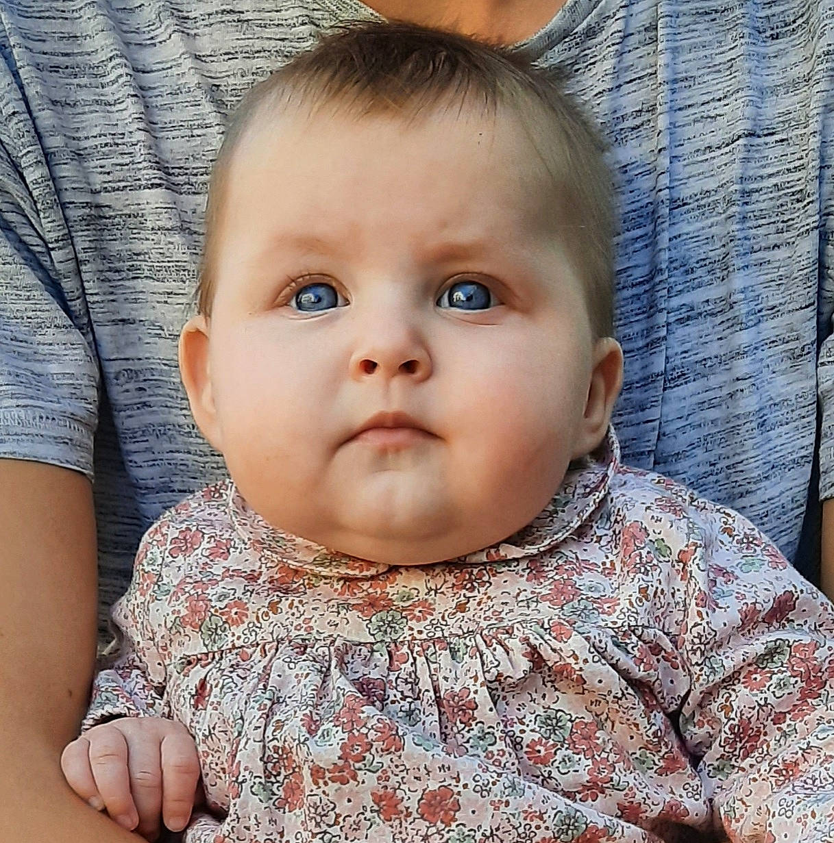 Mandy a rejoint le concours — aidez-le/la à gagner de superbes lots ! baby, cheek, child, chin, ear, eye, face, forehead, head, iris, lip, nose, person, portrait_photography, skin, smile, toddler