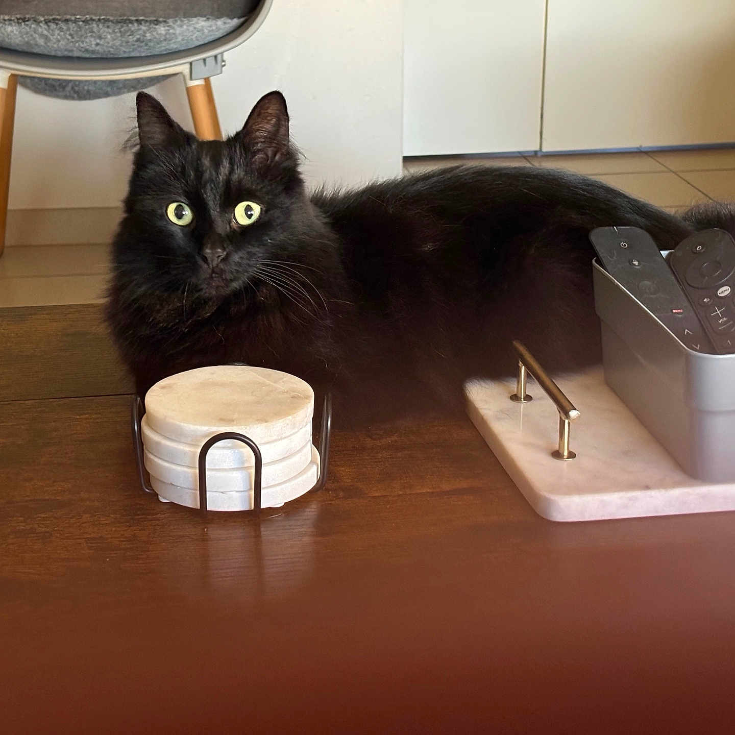 Oreo a rejoint le concours — aidez-le/la à gagner de superbes lots ! black_cat, cat, chair, close_up, coasters, container, cozy, curious_eyes, domestic_animal, floor_tiles, fluffy_fur, furniture, household_items, indoor, living_room, pet, remote_controls, resting, table, wooden_table