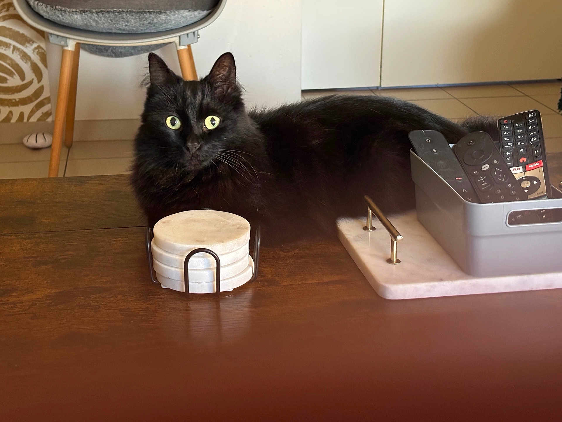 Oreo a rejoint le concours — aidez-le/la à gagner de superbes lots ! black_cat, cat, indoor, table, wooden_table, coasters, remote_controls, container, chair, floor_tiles, curious_eyes, fluffy_fur, pet, living_room, furniture, household_items, domestic_animal, resting, close_up, cozy