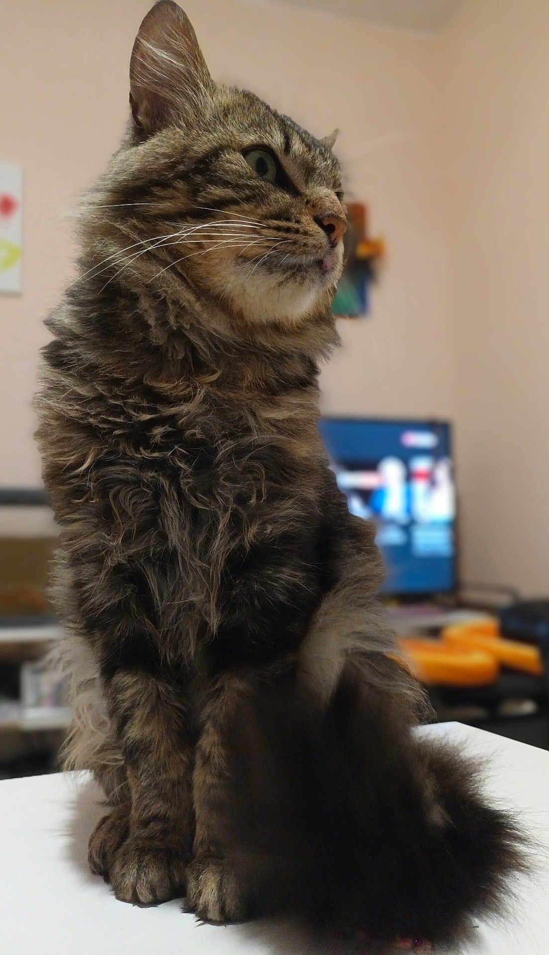Kuki