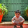toddler, child, squatting, green_door, orange_pot, plant, indoor, curious, shoes, shorts, shirt, patterned_clothing, wide_eyes, red_floor, natural_light, decorative_door, hair, face, playful, casual
