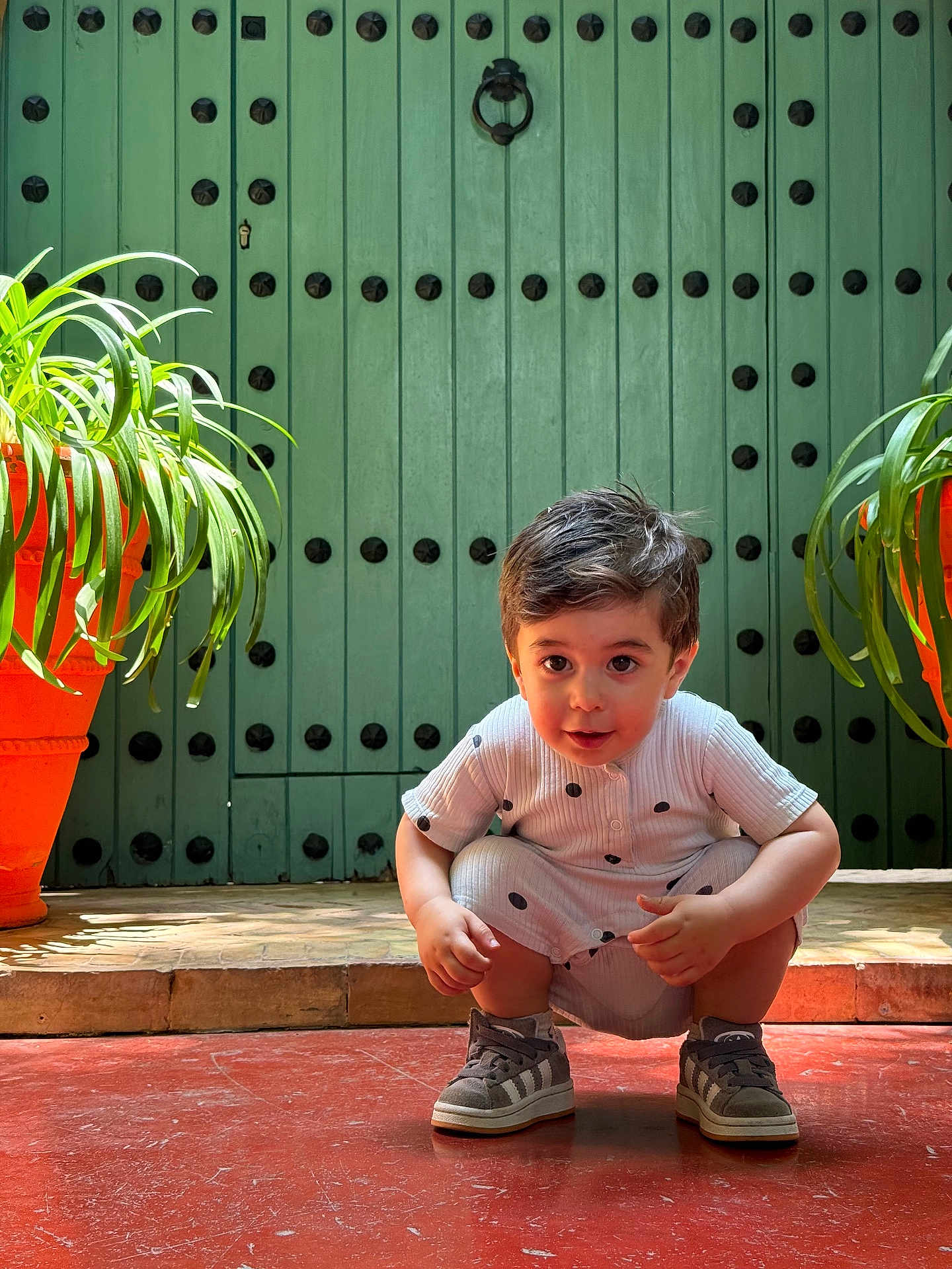 Aslan a rejoint le concours — aidez-le/la à gagner de superbes lots ! toddler, child, squatting, green_door, orange_pot, plant, indoor, curious, shoes, shorts, shirt, patterned_clothing, wide_eyes, red_floor, natural_light, decorative_door, hair, face, playful, casual
