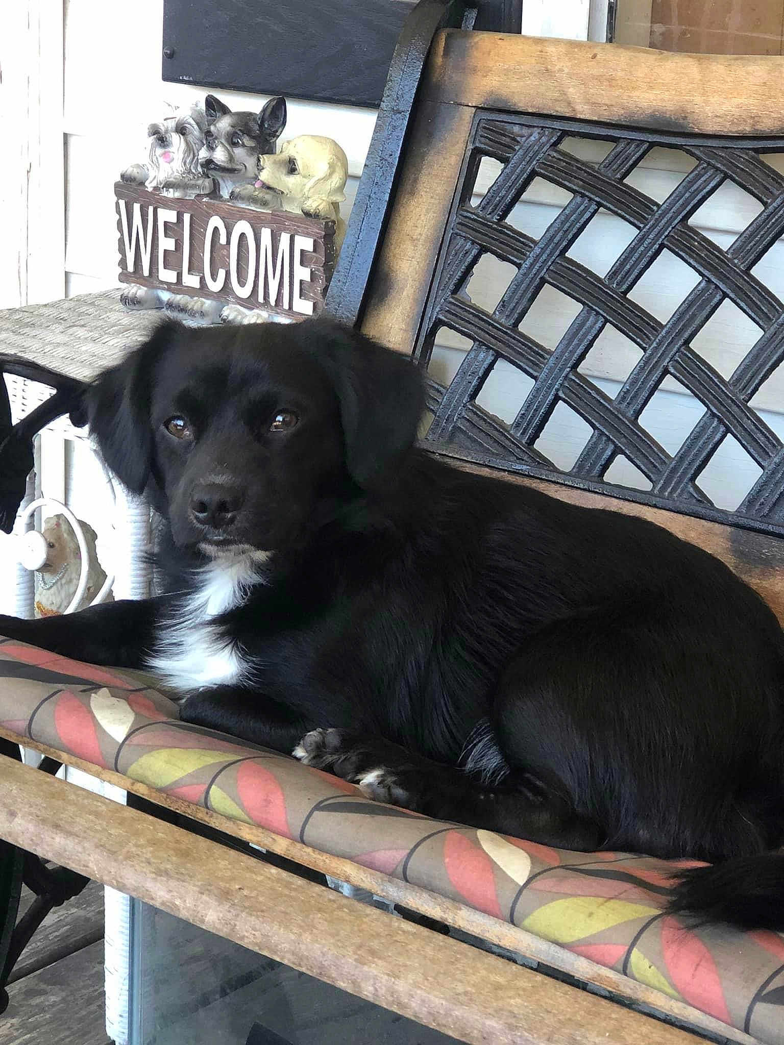 Roscoe