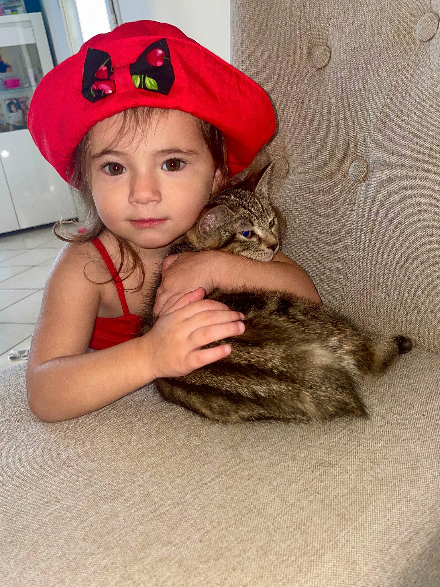 Giovanna participe au concours pour gagner de l'argent avec cette photo : baseball_cap, brown_hair, cap, carnivore, cat, child, costume_hat, domestic_short_haired_cat, fashion_accessory, fawn, felidae, fur, hat, headwear, helmet, paw, person, skin, small_to_medium_sized_cats, toddler