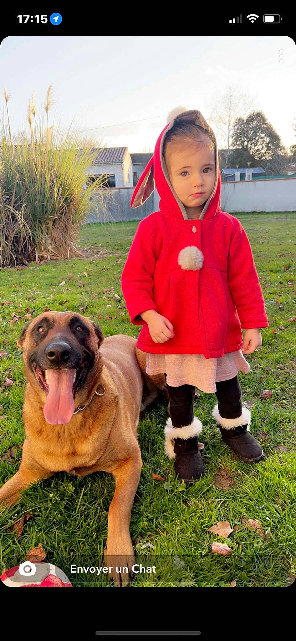 Giovanna a rejoint le concours — aidez-le/la à gagner de superbes lots ! baby, baby_toddler_clothing, boot, canidae, carnivore, child, companion_dog, dog, dog_breed, fawn, grass, guard_dog, molosser, person, plant, sky, snout, sporting_group, toddler, working_animal