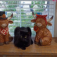 Baby is registered to the contest to win money with this photo: cat, black_cat, figurine, highland_cow, decor, window, blinds, wooden_table, plant, flower, indoor, pet, animal, greenery, home, ornament, relaxing, sitting, feline, still_life