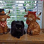 cat, black_cat, figurine, highland_cow, decor, window, blinds, wooden_table, plant, flower, indoor, pet, animal, greenery, home, ornament, relaxing, sitting, feline, still_life