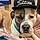 Bruno