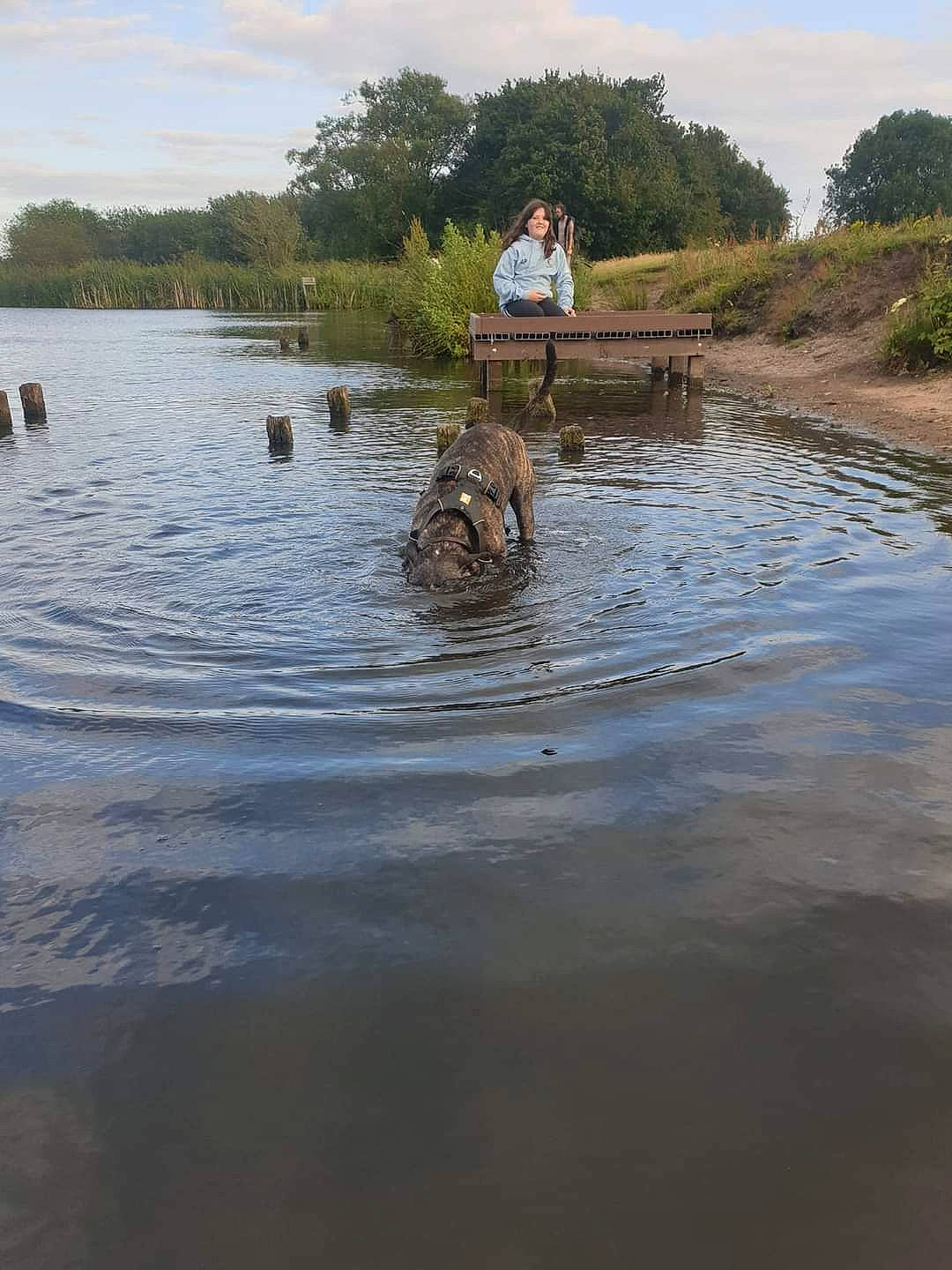 Ziggy joined the competition — help win amazing prizes! bank, channel, cloud, lacustrine_plain, lake, landscape, leisure, plant, recreation, reflection, reservoir, shore, sky, tree, water, watercourse, wetland, wilderness, wildlife, working_animal