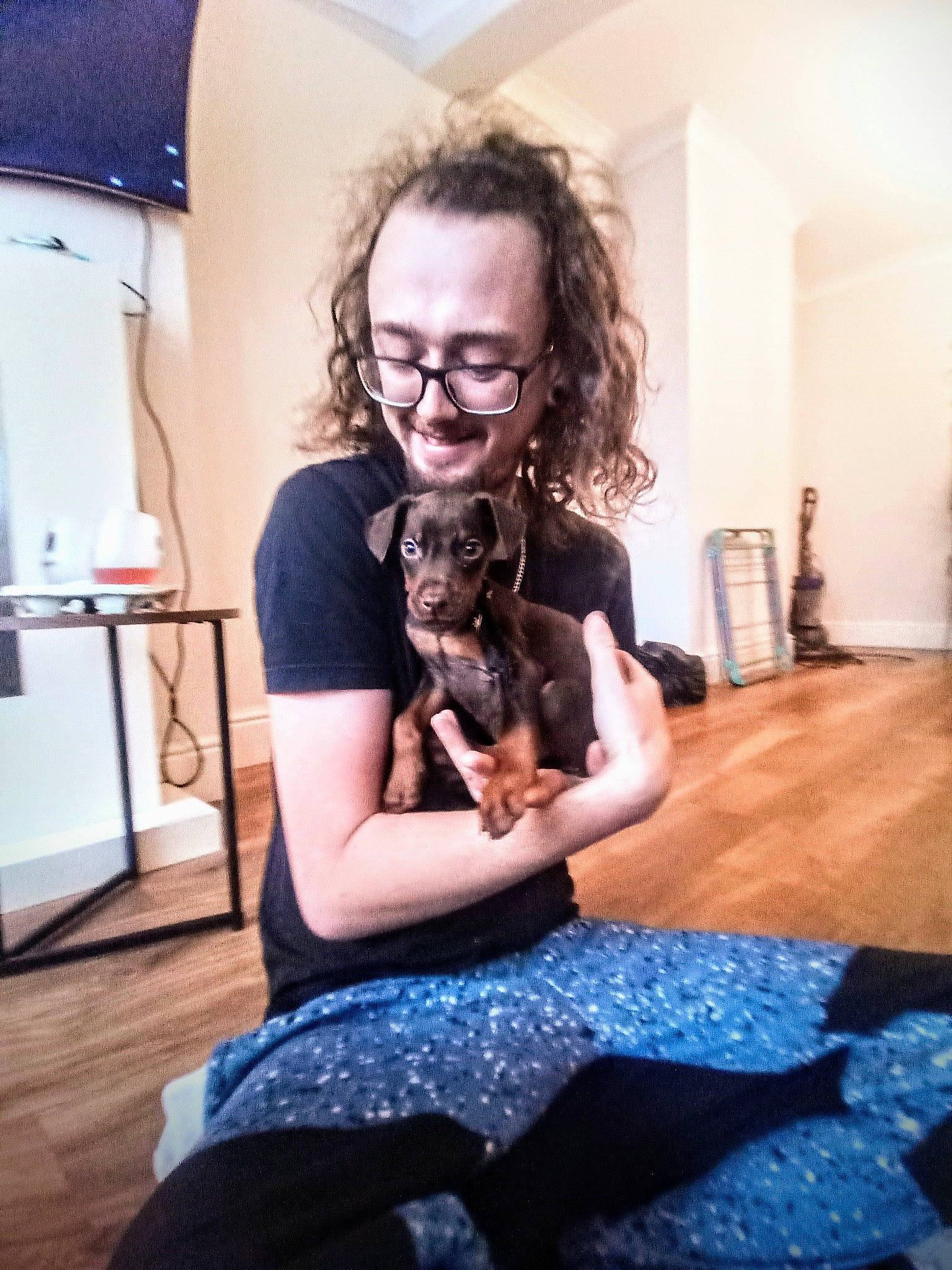 Obi joined the competition — help win amazing prizes! beard, black_hair, carnivore, companion_dog, dog_breed, dress, eyewear, fashion_design, fawn, felidae, flooring, fun, glasses, happy, knee, t_shirt, thigh, toy, vision_care, wood